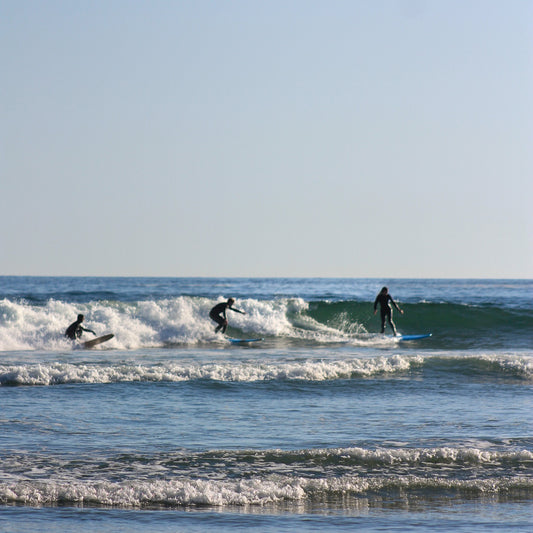 Intermediate Group Lesson $110